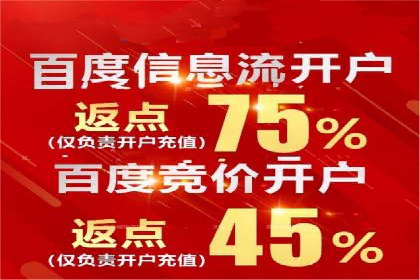 SEM竞价优化实战：案例解析如何提高广告转化率